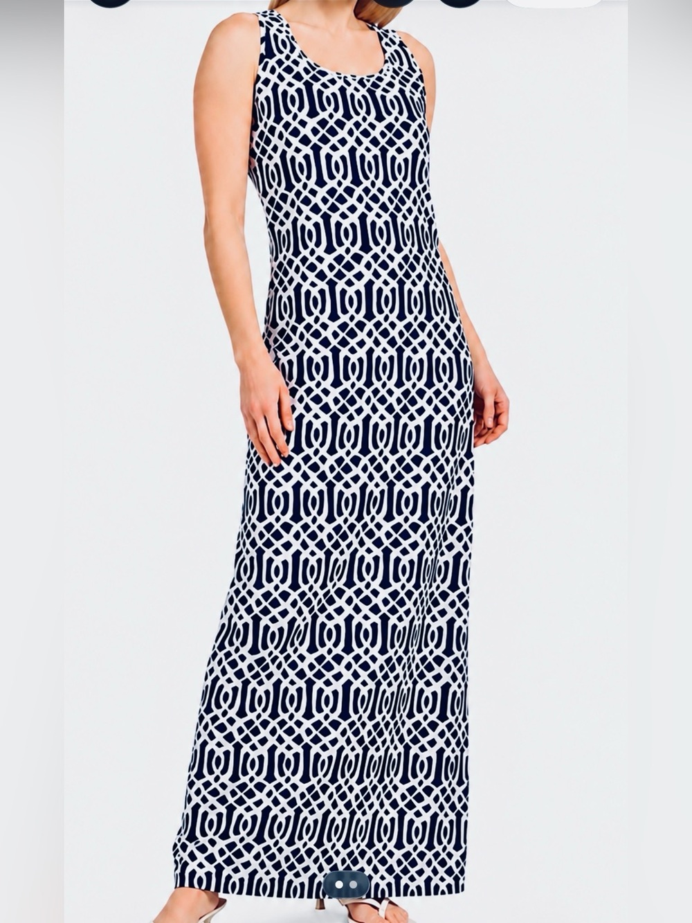 J. McLaughlin Charlotte Catalina Cloth Maxi Dress Blue White Small